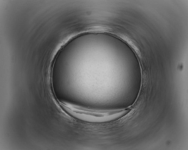 X0000097841477200803281212