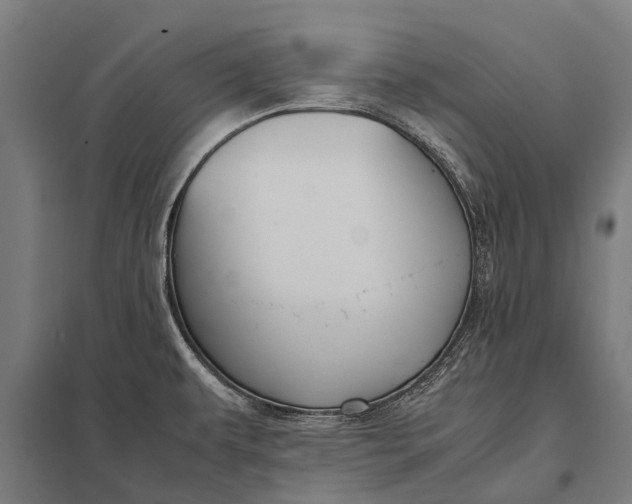 X0000097841479200803281212