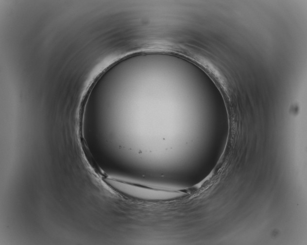 X0000097841480200803281212