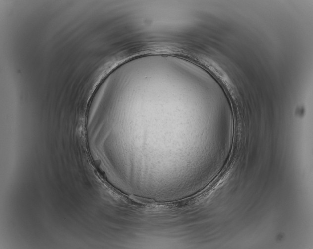 X0000097841481200803281212