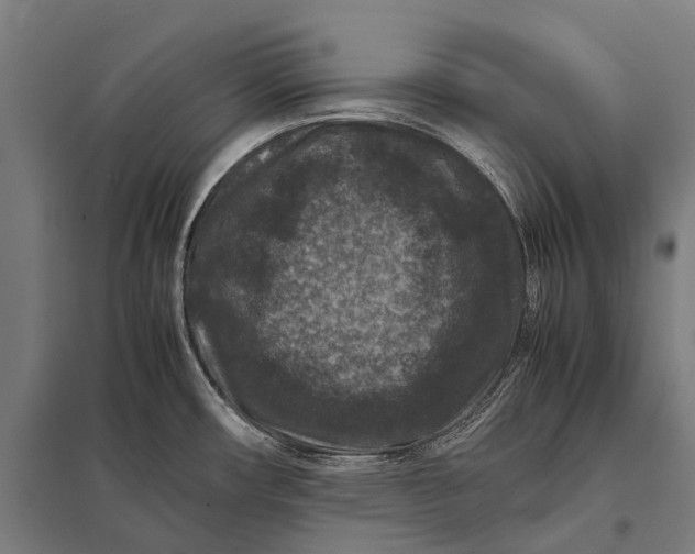 X0000097841482200803281212