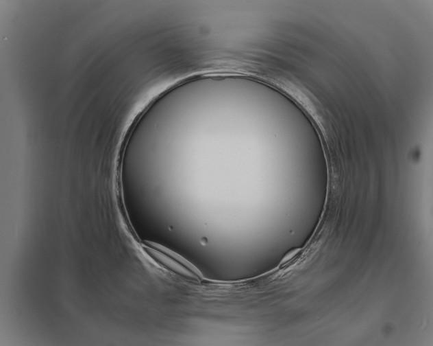 X0000097841485200803281212