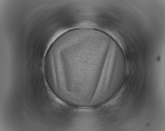 X0000097841486200803281212