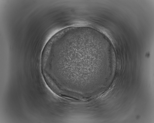 X0000097841487200803281212