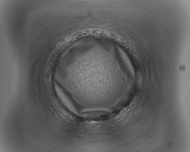 X0000097841489200803281211