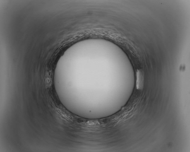 X0000097841491200803281211