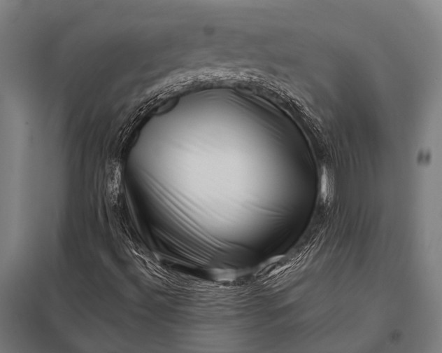 X0000097841492200803281211