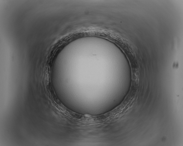X0000097841493200803281212