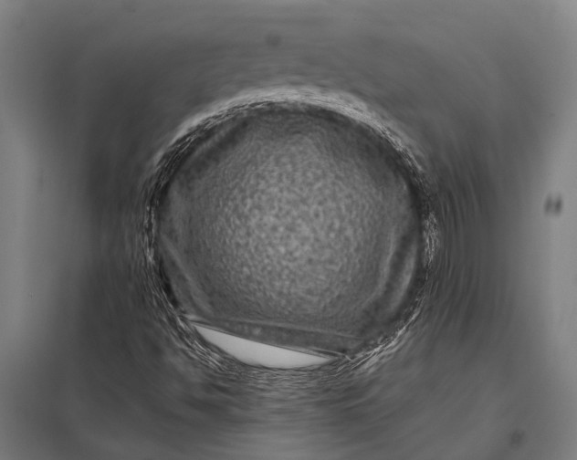 X0000097841494200803281212