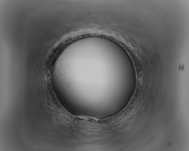 X0000097841495200803281212