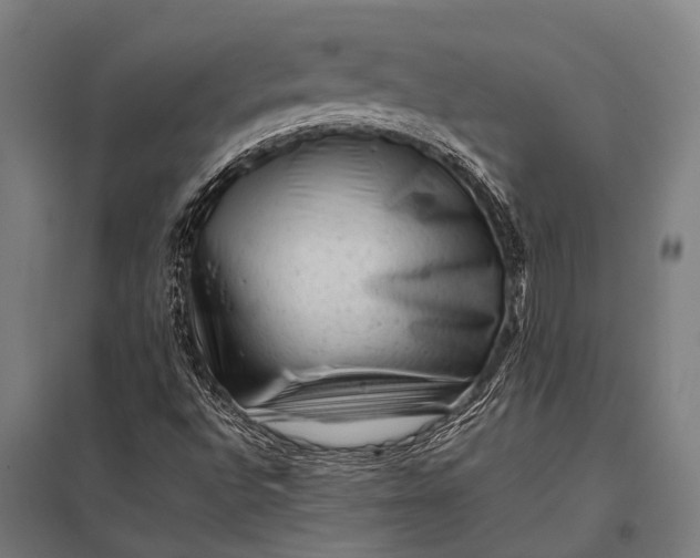 X0000097841496200803281212