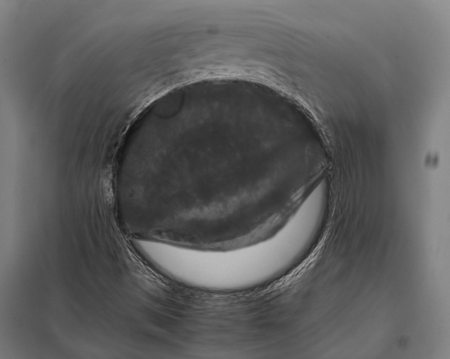 X0000097841497200803281212