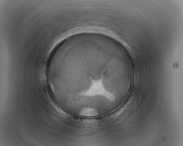 X0000097841498200803281212