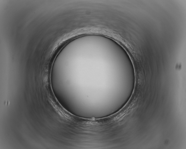 X0000097841499200803281212