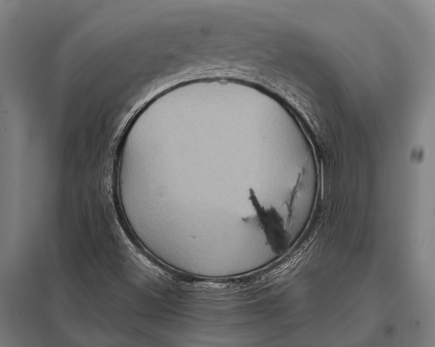 X0000097841500200803281212