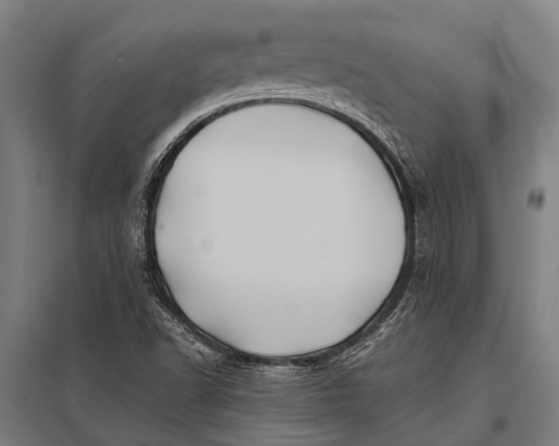 X0000097841502200803281212