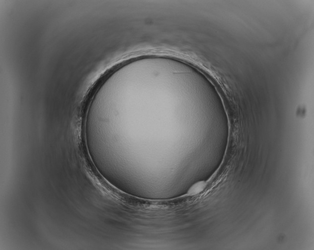 X0000097841503200803281212
