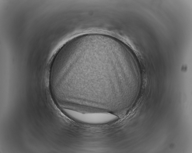 X0000097841504200803281212