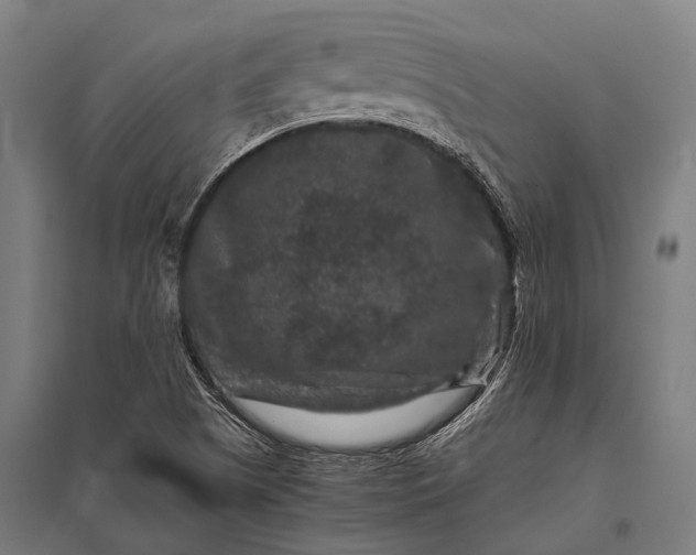 X0000097841505200803281212