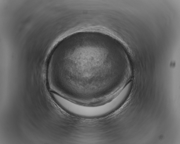 X0000097841506200803281212