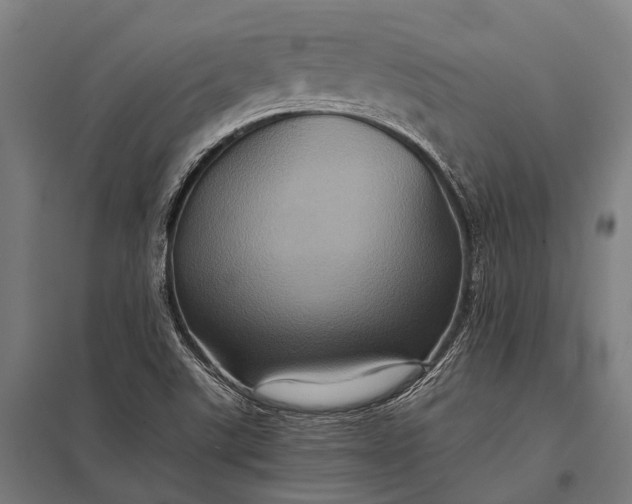 X0000097841507200803281212