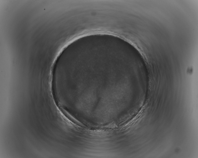 X0000097841508200803281212