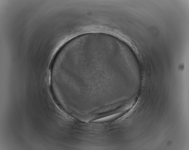 X0000097841509200803281212