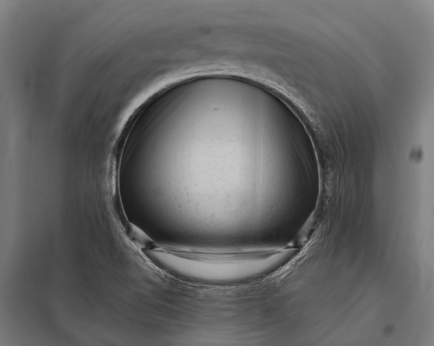 X0000097841510200803281212