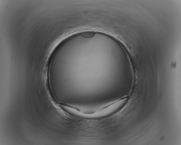 X0000097841511200803281212