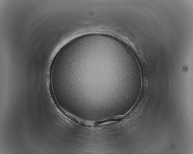 X0000097841512200803281212