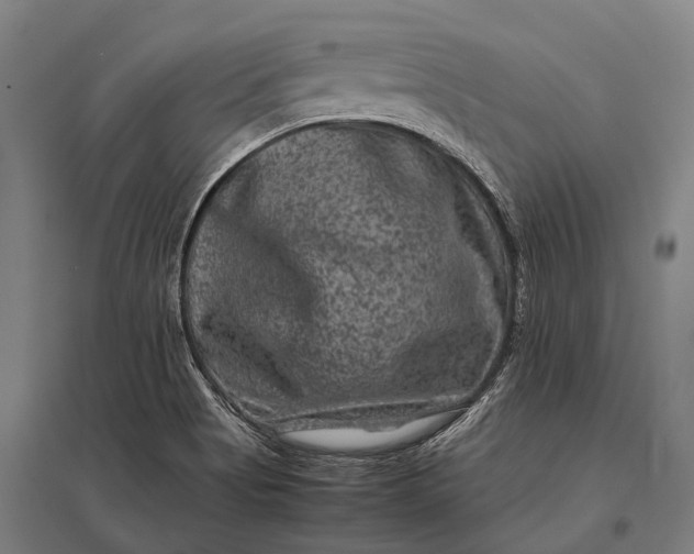 X0000097841513200803281212