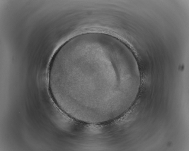 X0000097841514200803281212