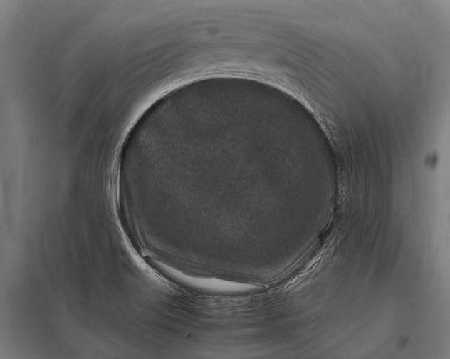X0000097841515200803281212
