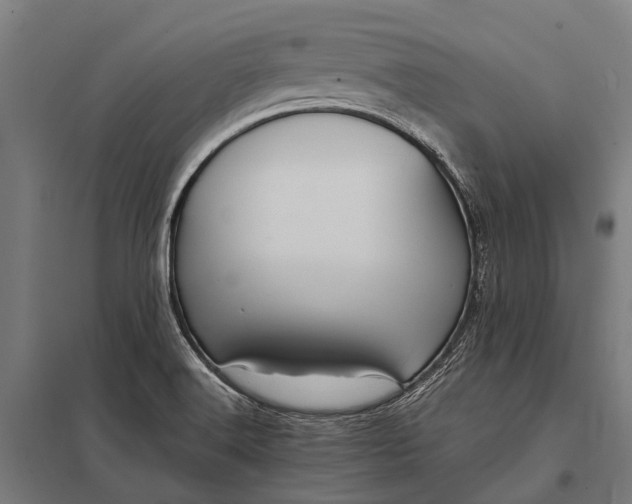 X0000097841516200803281212