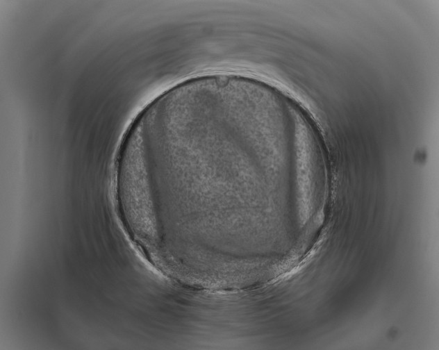 X0000097841517200803281212