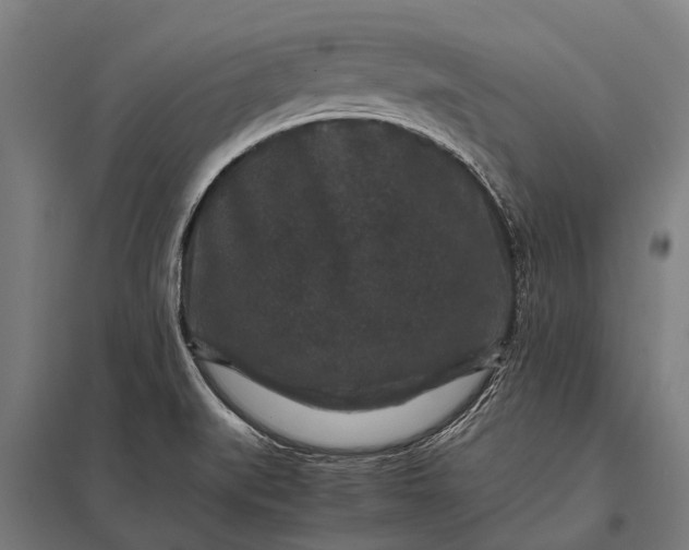 X0000097841519200803281212