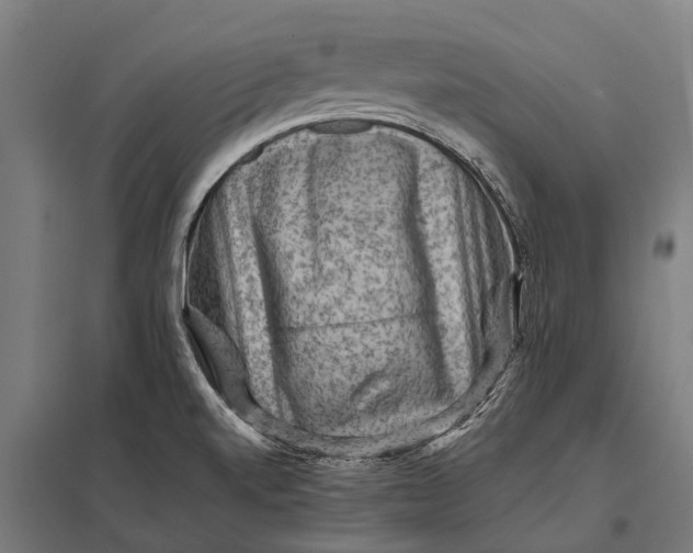 X0000097841520200803281212
