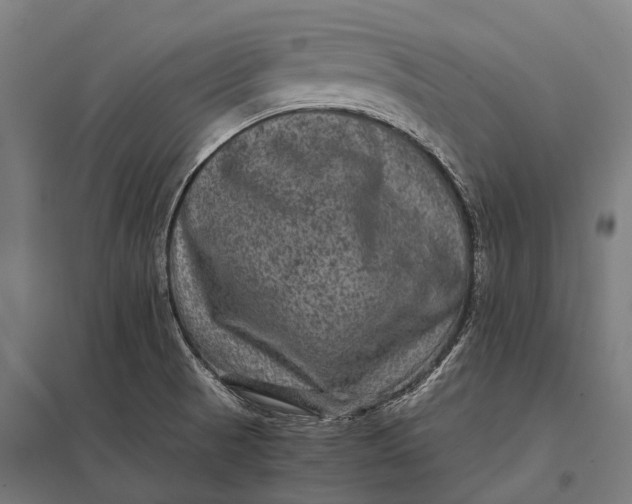 X0000097841521200803281212