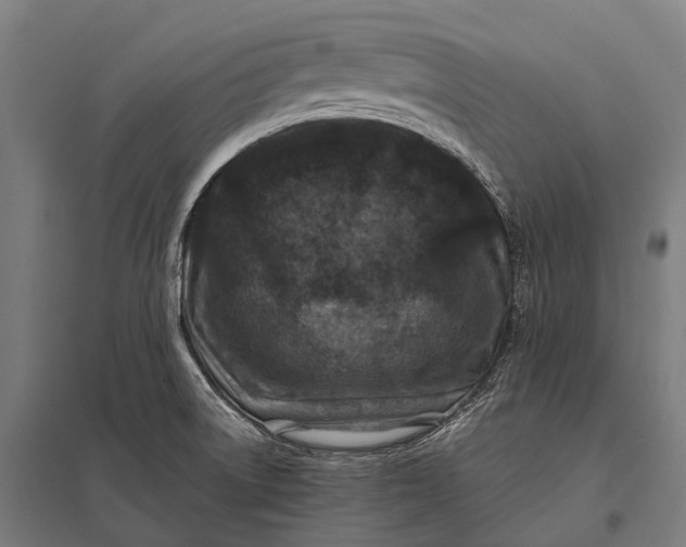 X0000097841522200803281212