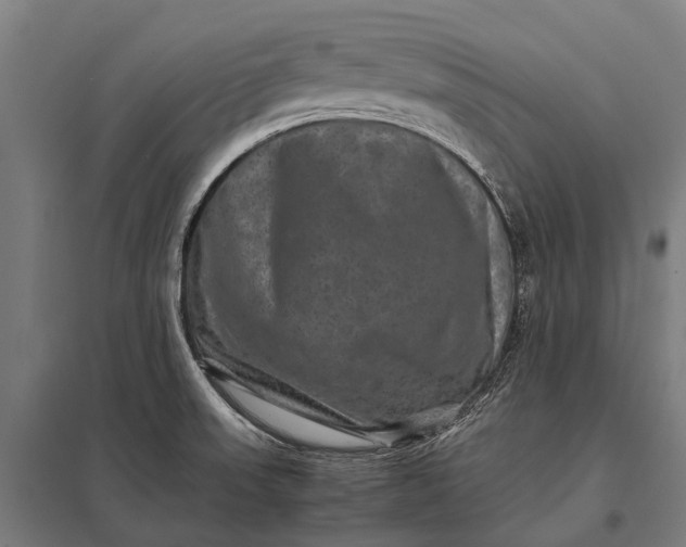 X0000097841523200803281212