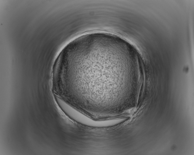 X0000097841524200803281212