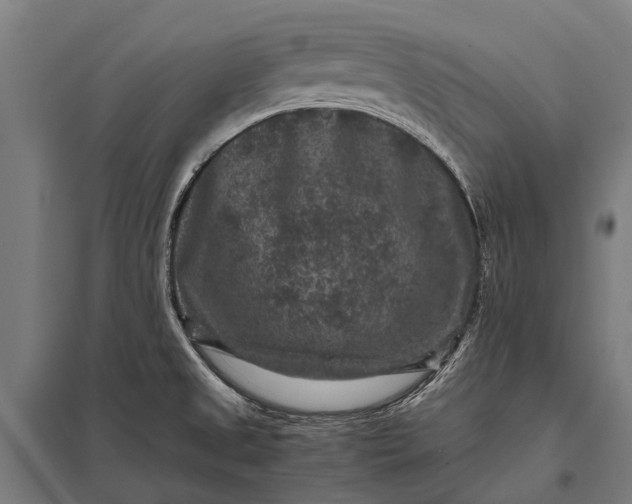 X0000097841525200803281212