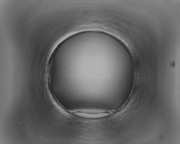 X0000097841526200803281212