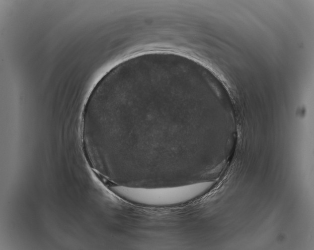 X0000097841527200803281212