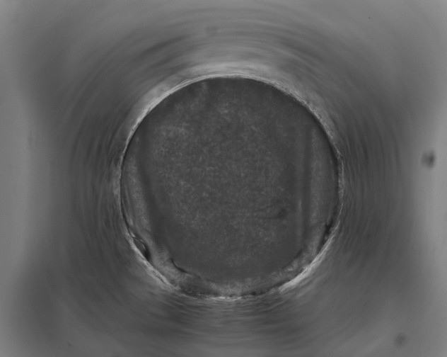 X0000097841529200803281212