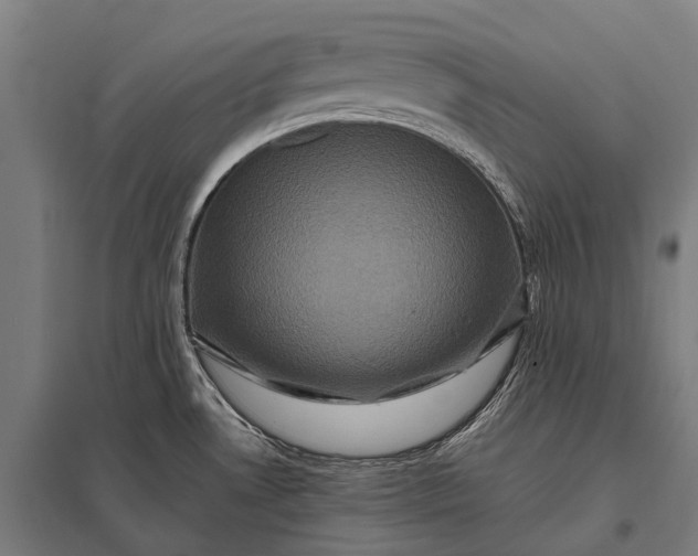 X0000097841530200803281212
