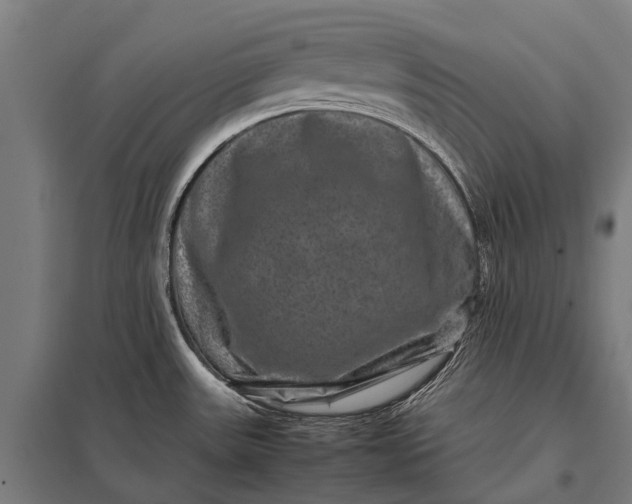 X0000097841531200803281212