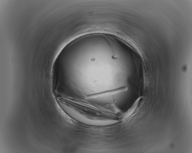 X0000097841532200803281212