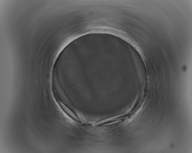 X0000097841533200803281212