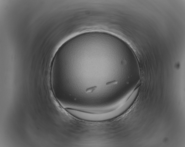 X0000097841534200803281212